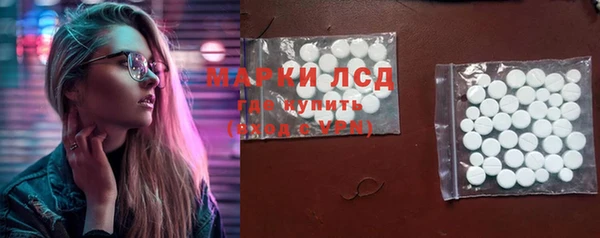 хмурый Арсеньев
