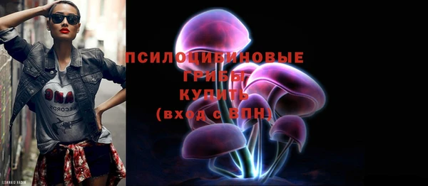 spice Аркадак