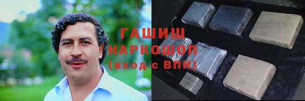 хмурый Арсеньев