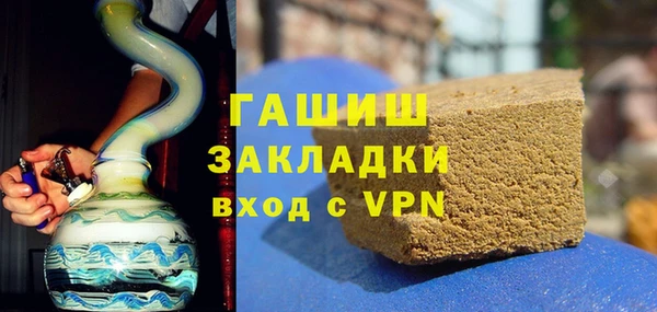 хмурый Арсеньев