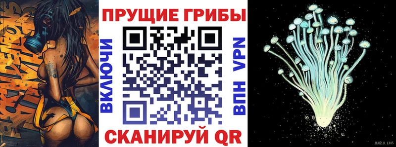 Псилоцибиновые грибы Magic Shrooms  купить наркотики сайты  Сосновый Бор 